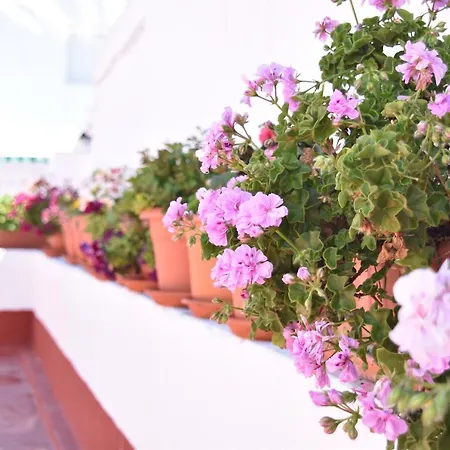 La Discusion De Veedor 12 * Cadix