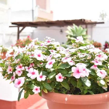 La Discusion De Veedor 12 Appartement Cadix