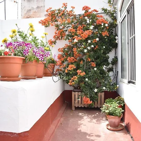 La Discusion De Veedor 12