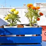 La Discusion De Veedor 12 Appartement *