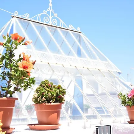 La Discusion De Veedor 12 Appartamento Cadice