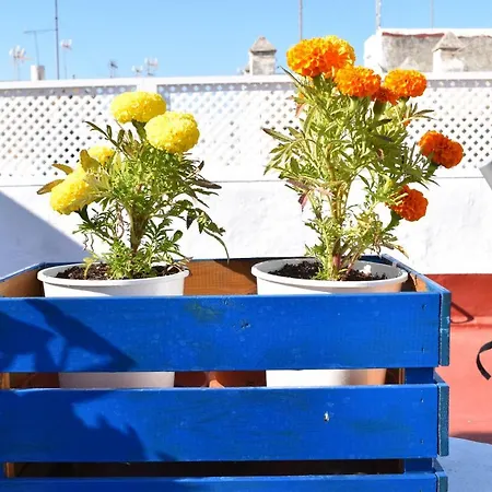 La Discusion De Veedor 12 Appartamento *