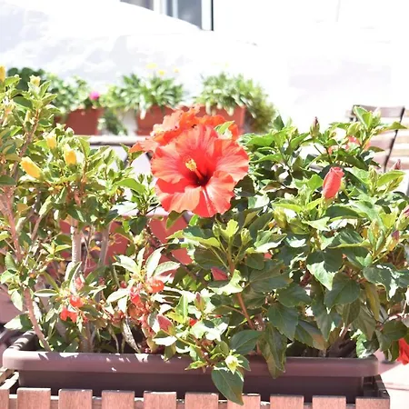 Appartamento La Discusion De Veedor 12 *