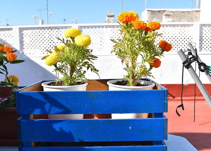 La Discusion De Veedor 12 Apartment *