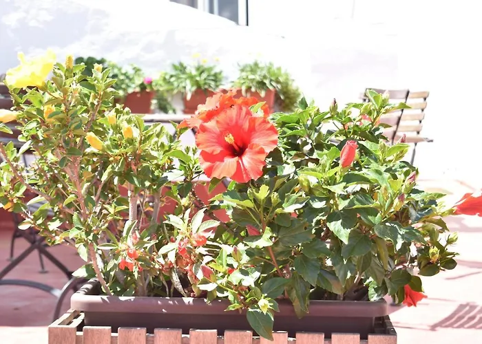 Apartment La Discusion De Veedor 12 *