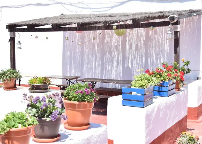 La Discusion De Veedor 12 *