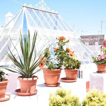 아파트 La Discusion De Veedor 12