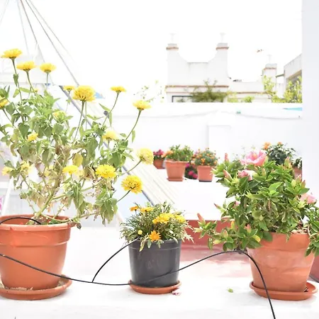 La Discusion De Veedor 12 * Cádiz