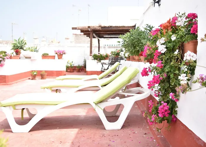 La Discusion De Veedor 12 *