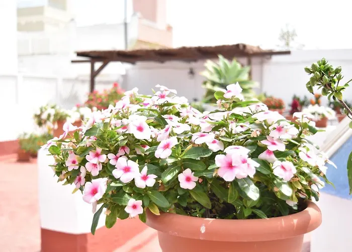 La Discusion De Veedor 12 Appartamento Cadice