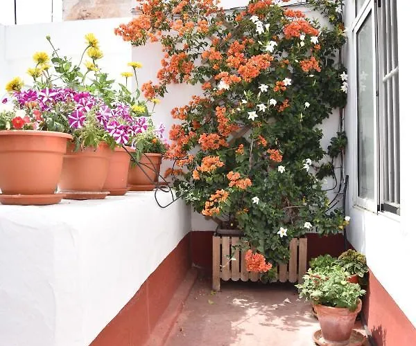 La Discusion De Veedor 12