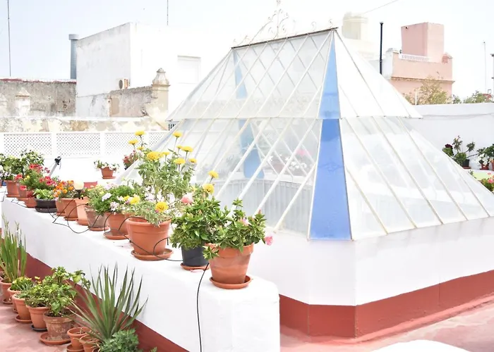 La Discusion De Veedor 12