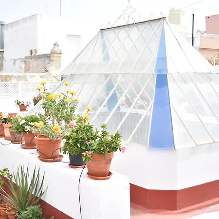 La Discusion De Veedor 12