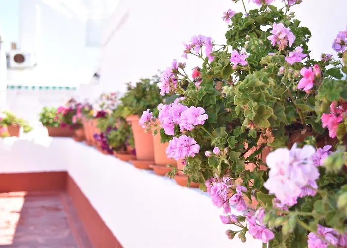 La Discusion De Veedor 12 * Cádiz